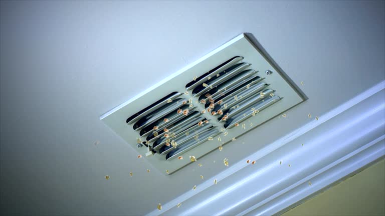 Best Home Air Vent Cleaning  in Banks, OR