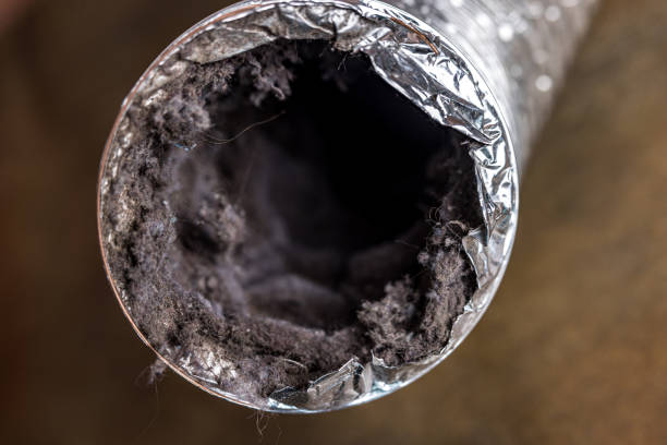 Best Air Duct Cleaning Near Me  in Banks, OR